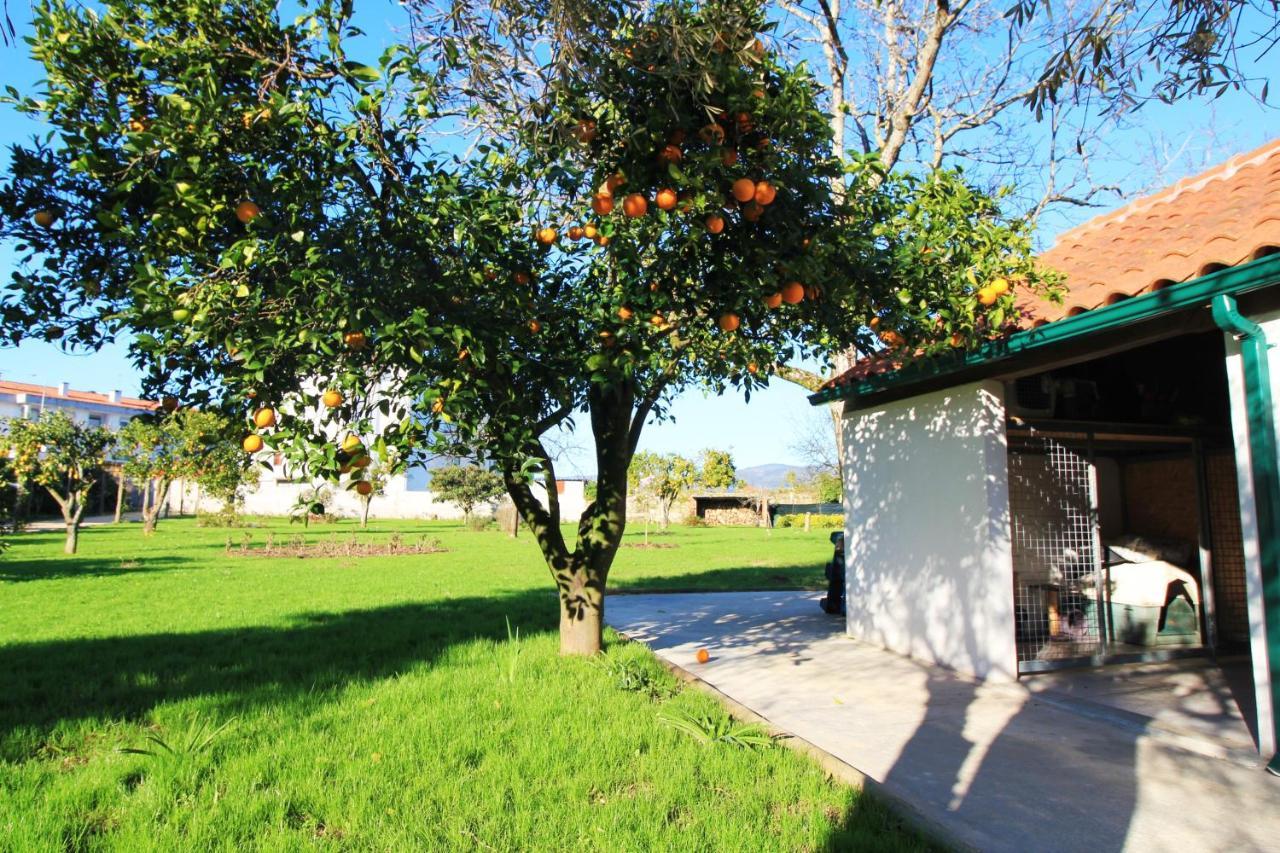 Casa Dos Ouricos Villa Ponte de Lima Exterior foto
